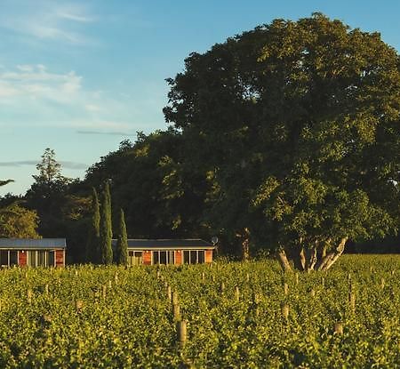 Walnut Block Cottages Blenheim Buitenkant foto