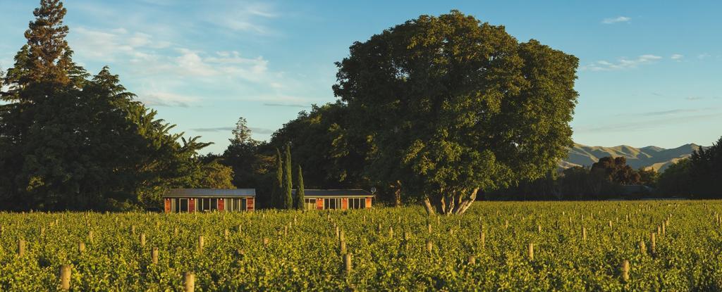 Walnut Block Cottages Blenheim Buitenkant foto