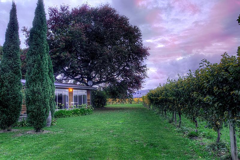 Walnut Block Cottages Blenheim Buitenkant foto